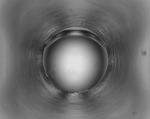 X0000091090092200708131329
