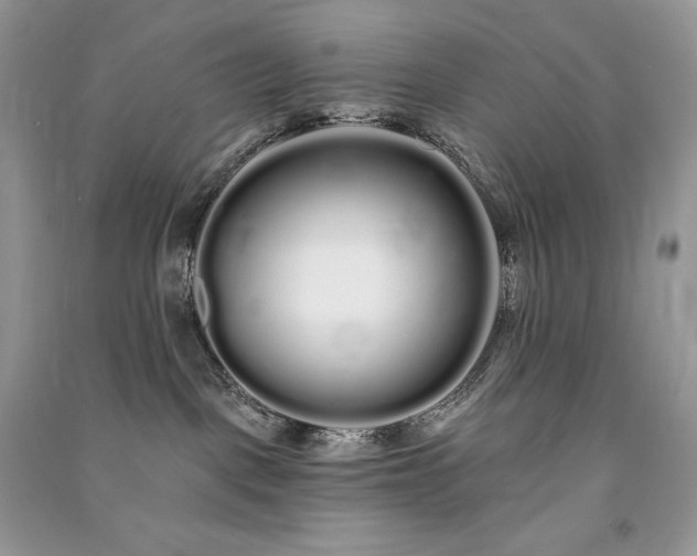 X0000091090093200708131329