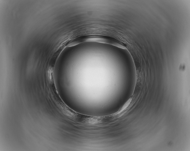 X0000091090094200708131329