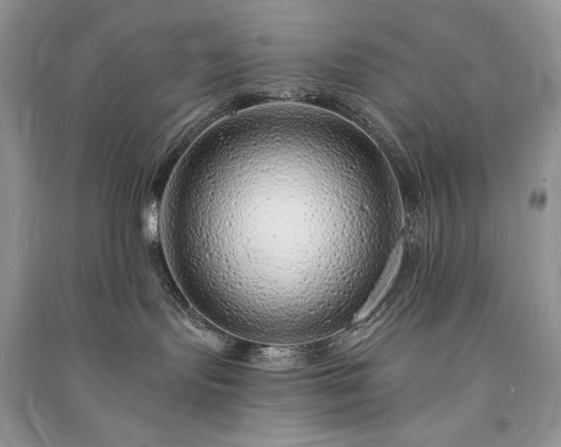 X0000091090095200708131329