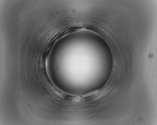 X0000091090096200708131329