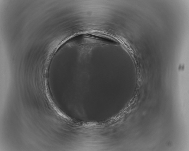 X0000091090097200708131328