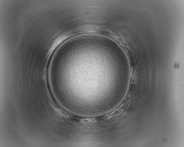 X0000091090099200708131328