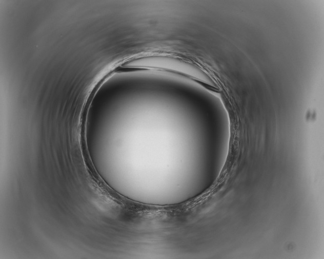 X0000091090100200708131328