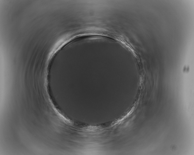 X0000091090101200708131328