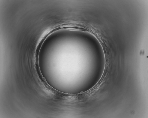 X0000091090102200708131328