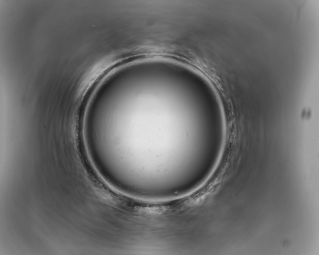 X0000091090103200708131328