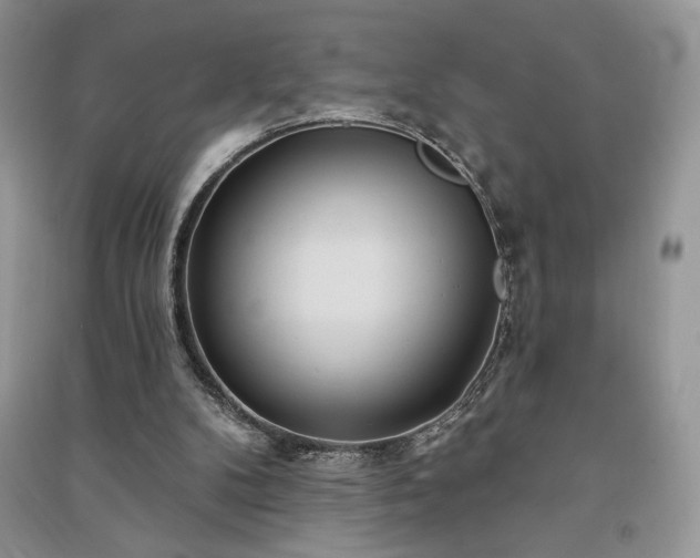 X0000091090104200708131328