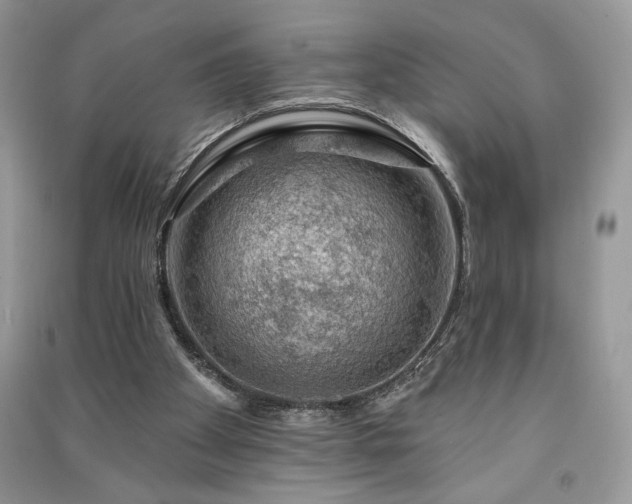 X0000091090105200708131328
