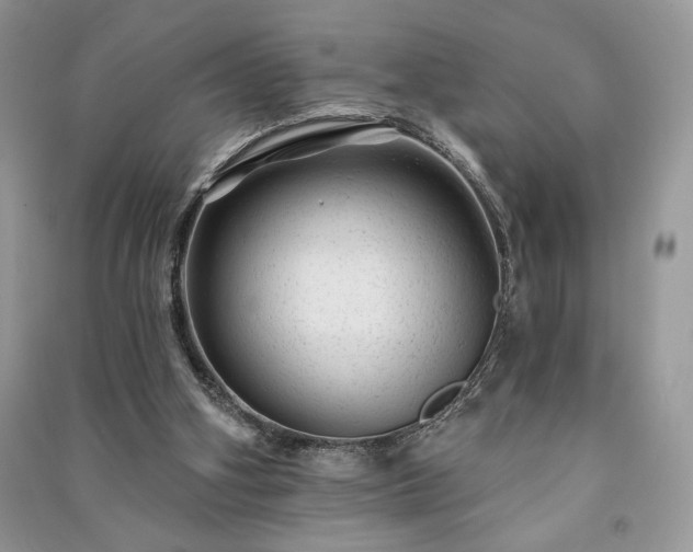 X0000091090106200708131328