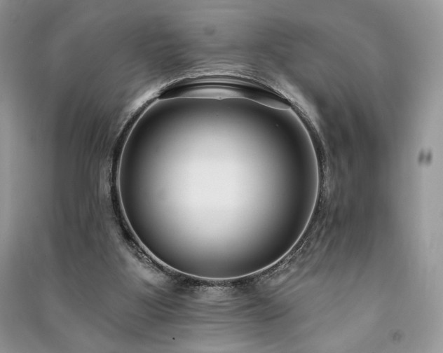 X0000091090107200708131328
