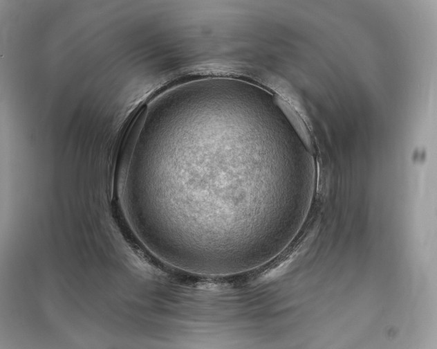 X0000091090109200708131328