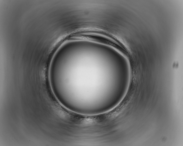 X0000091090111200708131328