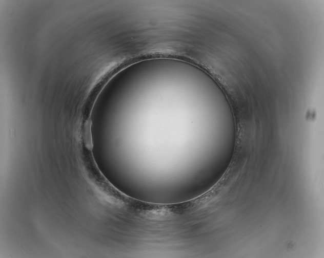 X0000091090112200708131328