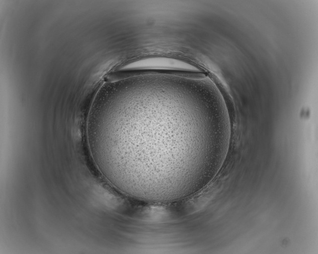 X0000091090114200708131328