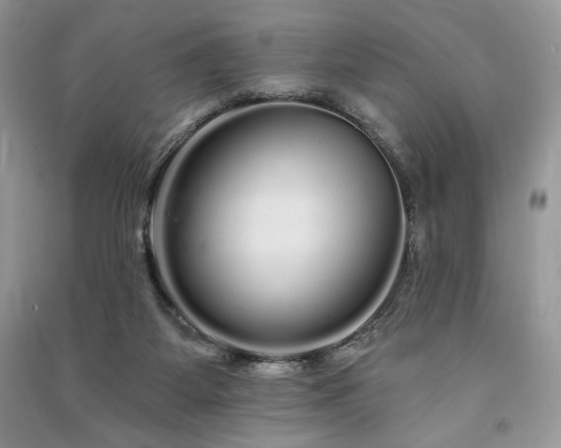 X0000091090115200708131328