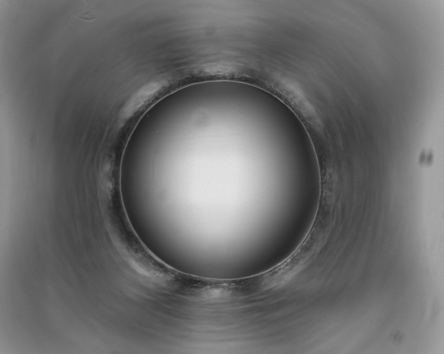 X0000091090116200708131328