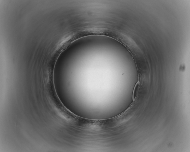X0000091090120200708131328