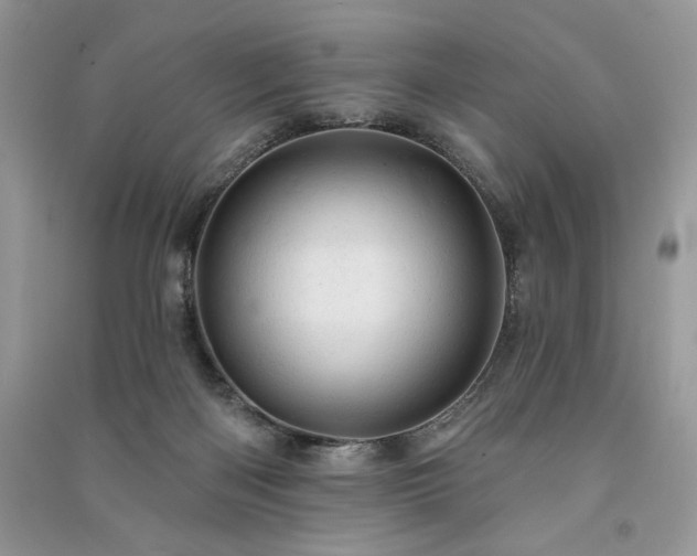 X0000091090122200708131328