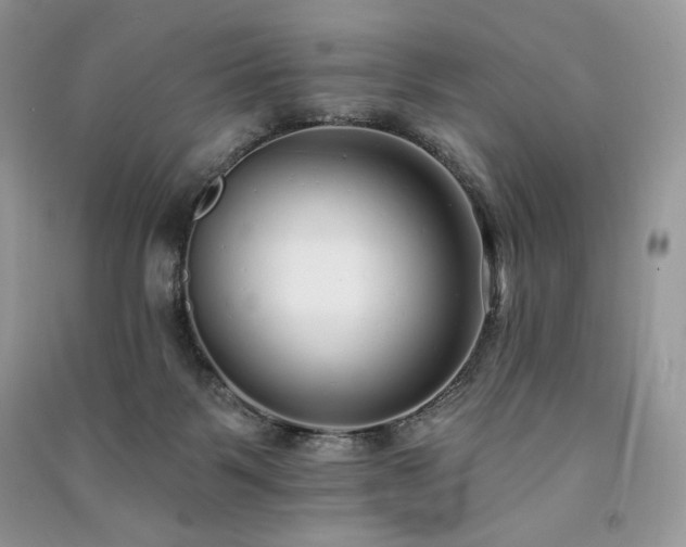 X0000091090123200708131328