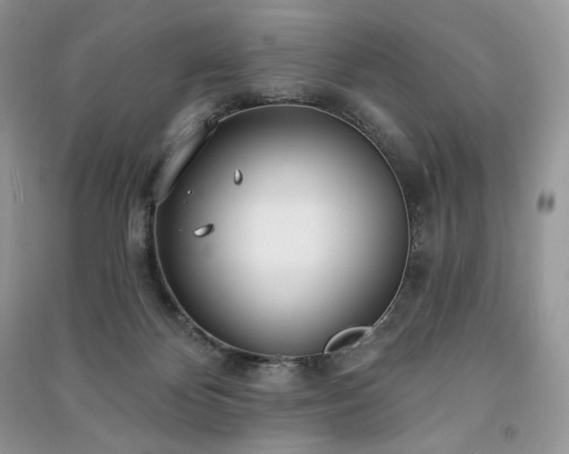 X0000091090124200708131328