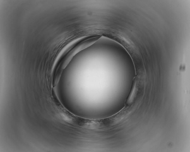 X0000091090125200708131328
