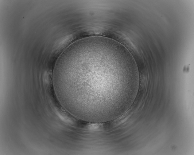X0000091090126200708131328