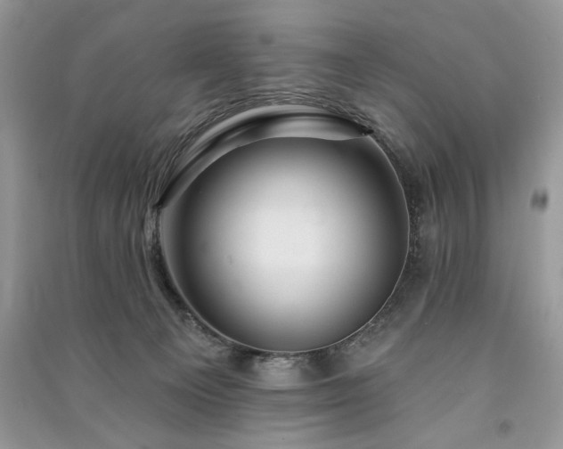 X0000091090129200708131328