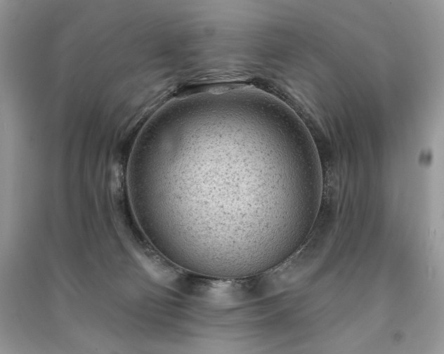 X0000091090130200708131328