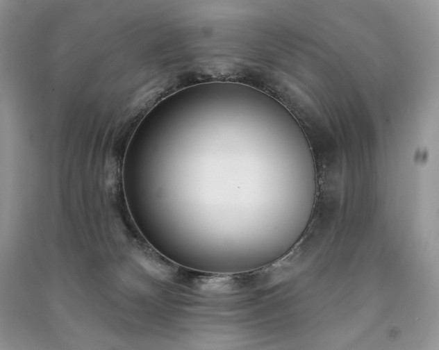 X0000091090132200708131328