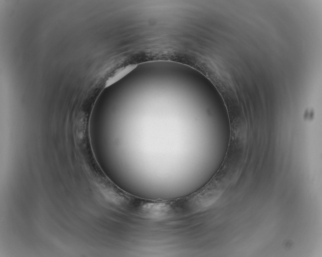 X0000091090133200708131328
