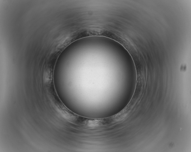 X0000091090134200708131328