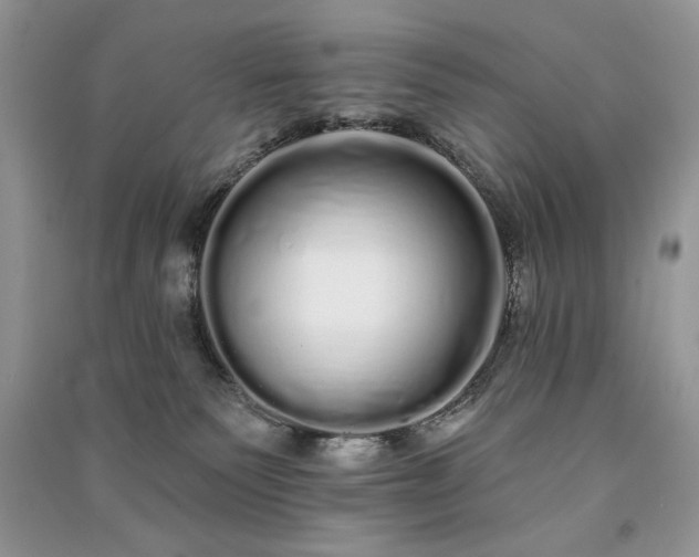 X0000091090135200708131328