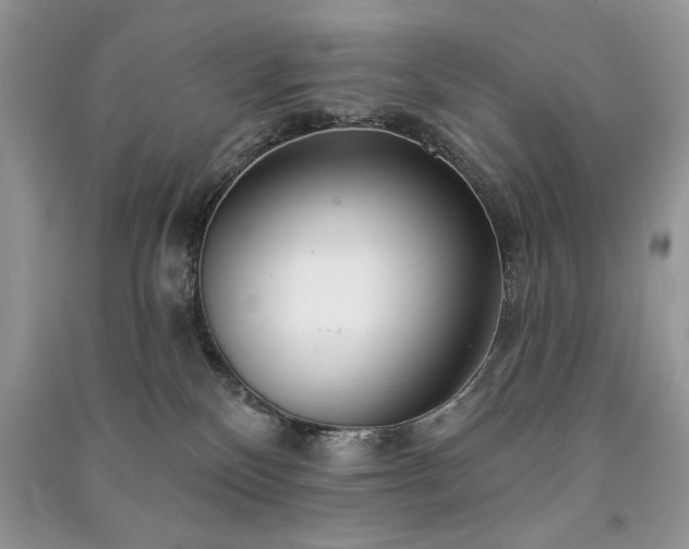 X0000091090136200708131328