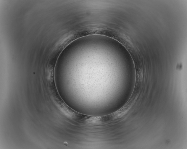 X0000091090138200708131328