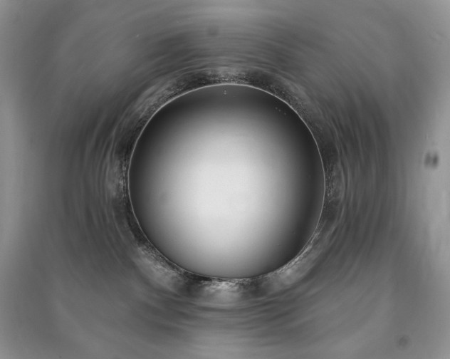 X0000091090140200708131327