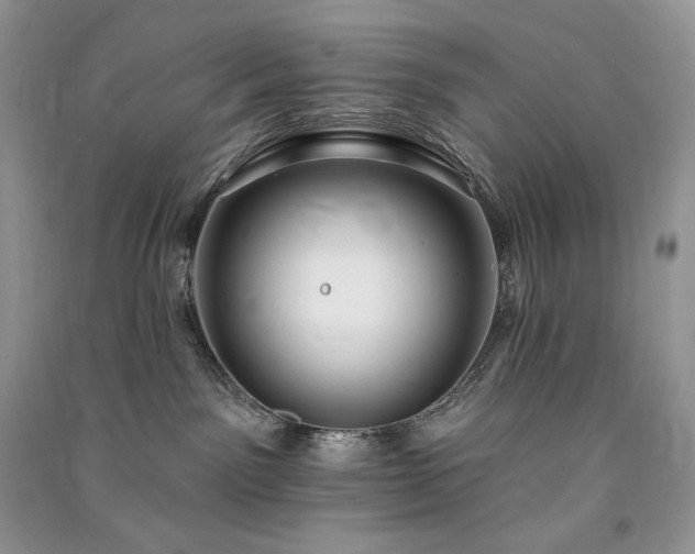 X0000091090141200708131327
