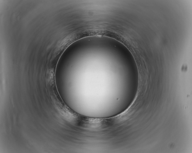 X0000091090144200708131327