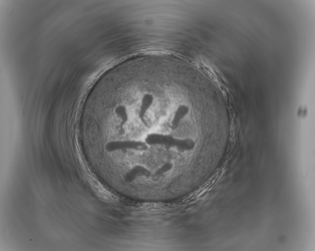 X0000091090145200708131327