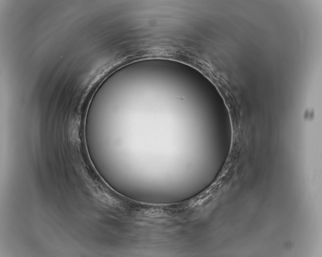 X0000091090146200708131327