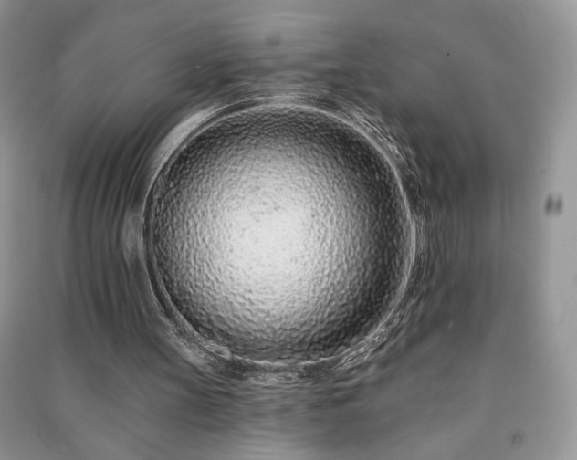 X0000091090147200708131327