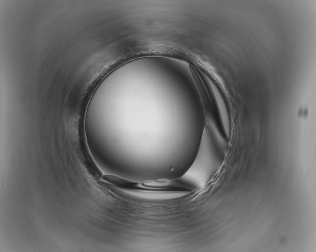 X0000091090154200708131327