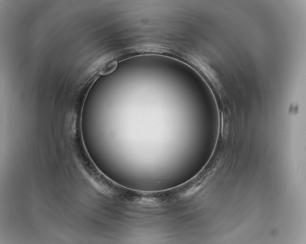 X0000091090157200708131327