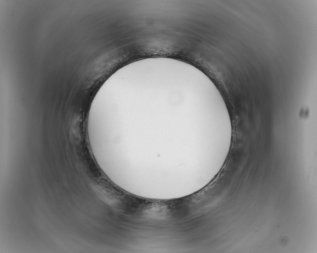 X0000091090162200708131327