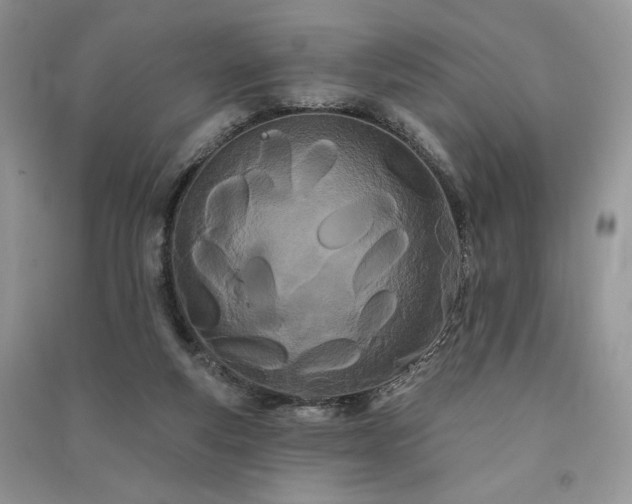 X0000091090163200708131327