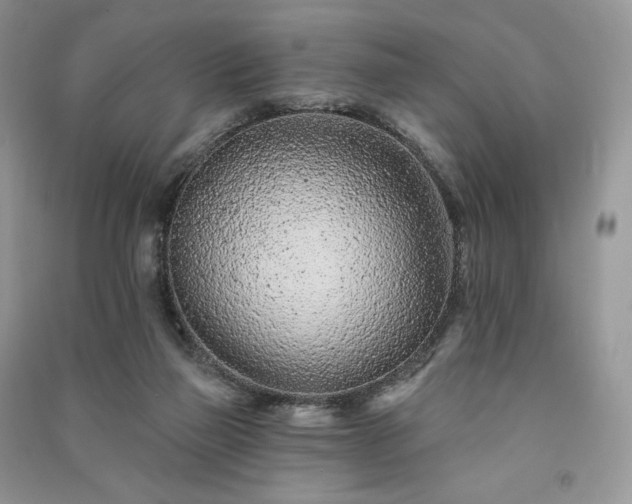 X0000091090165200708131327