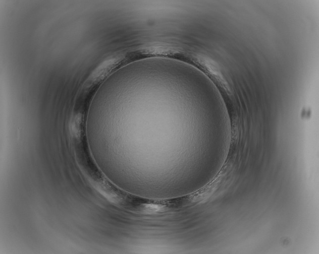 X0000091090167200708131327