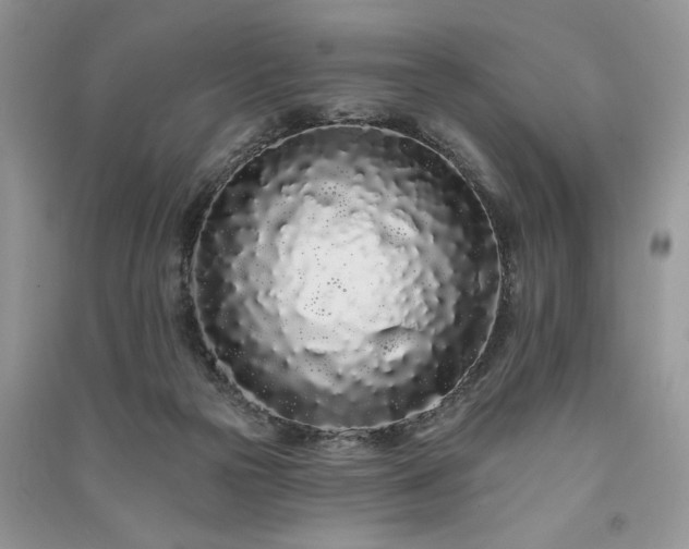 X0000091090169200708131327
