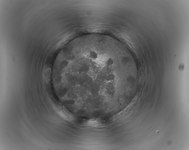 X0000091090171200708131327