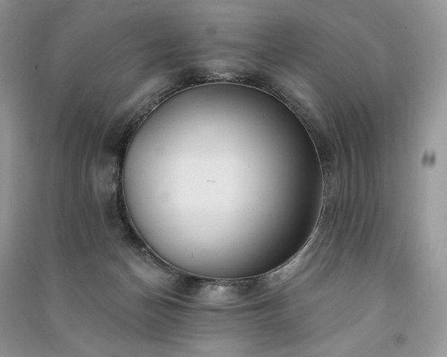 X0000091090174200708131327